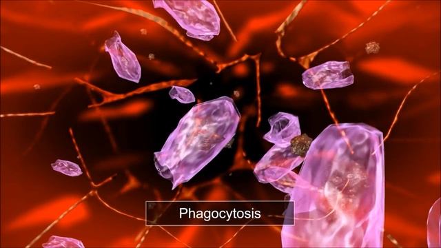 Ultraformer III смотреть онлайн