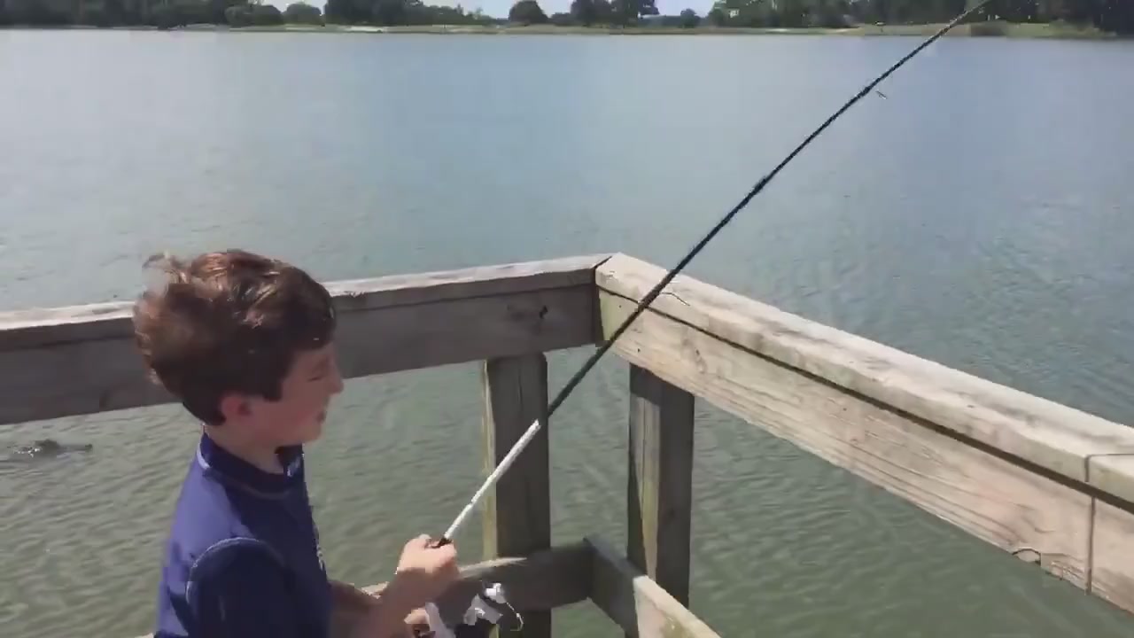 Catching fish gif