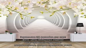 3Д фотообои для стен: фото, каталог, способы применения
