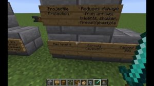 What's The Best Protection Enchantment In Minecraft?