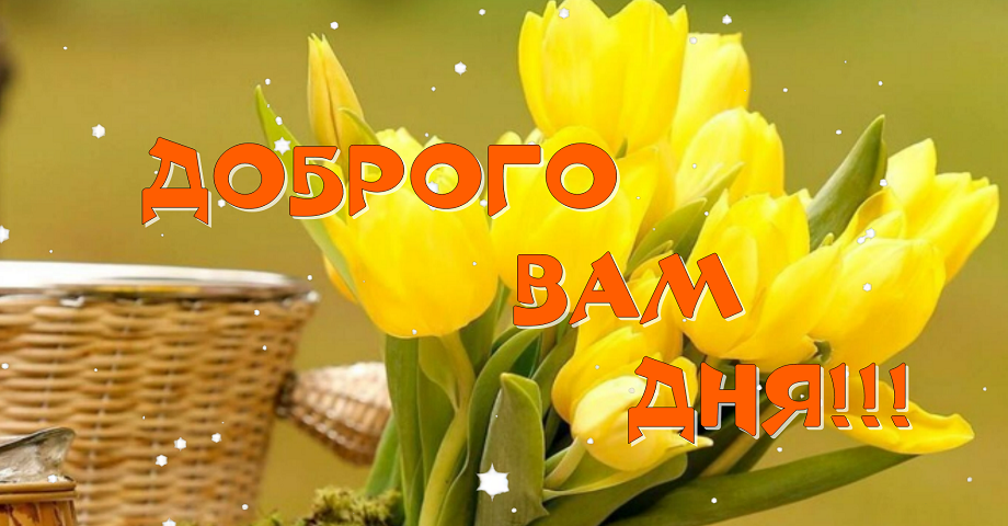 Добрый День! Хорошего дня! Желаю Успешного Дня!