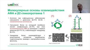 Диагностика и лабораторный мониторинг при антифосфолипидном синдроме