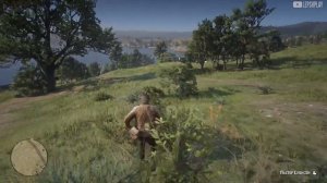 Пастор Суонсон Red Dead Redemption 2 (rdr2), Кто Без Греха, спасти старика. Прохождение на русском