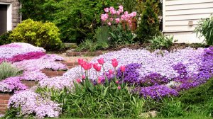 ?64 Красивые и полезные идеи для обустройства садового участка / Great garden ideas / A - Video