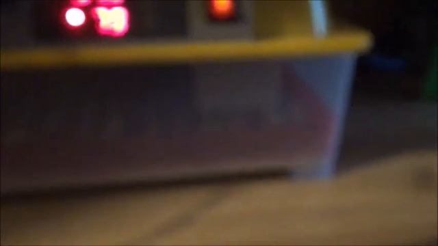 Канадские отшельники. Часть 69. Паслёновые кролики. смотреть онлайн