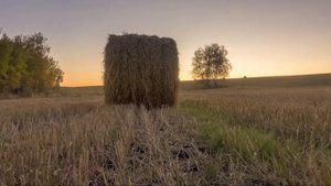 Таймлапс сельского луга со стогами сена на закате (пример съемки)