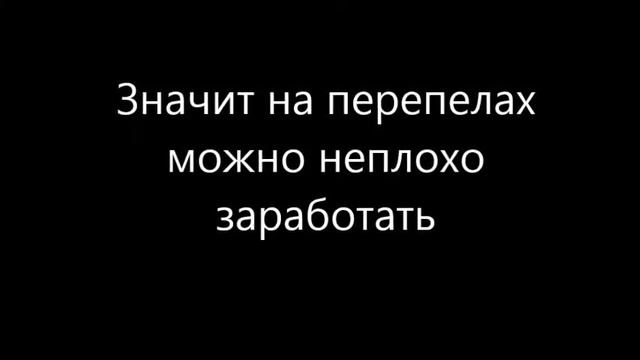 100 ЛУЧШИХ БИЗНЕС-ИДЕЙ ДЛЯ ДЕРЕВНИ. ИДЕЯ №4 РАЗВЕДЕНИЕ ПЕРЕПЕЛОВ КАК ВЫГОДНЫЙ БИЗНЕС С НУЛЯ