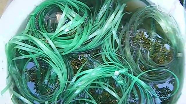 Home made pond bio filter for koi pond 3000 gallon смотреть онлайн