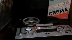 Радмила Караклаич " Кони - звери"