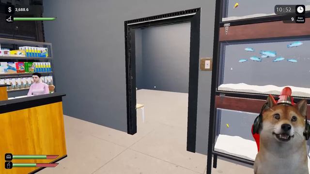 DARI JUALAN IKAN SEKARANG KITA JUAL TIKUS? - Exotica Petshop Simulator Part 3 смотреть онлайн