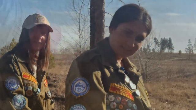 Посадка леса в Алтайском крае 9 октября 2022 года