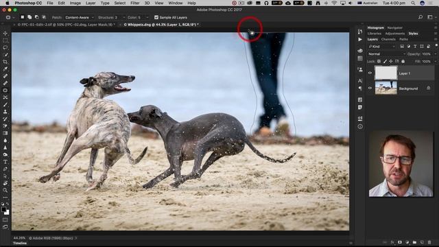 Photoshop CC: How to use the Content Aware Patch Tool смотреть онлайн