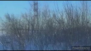 Заполярье! ОХОТА! Охота на севере!