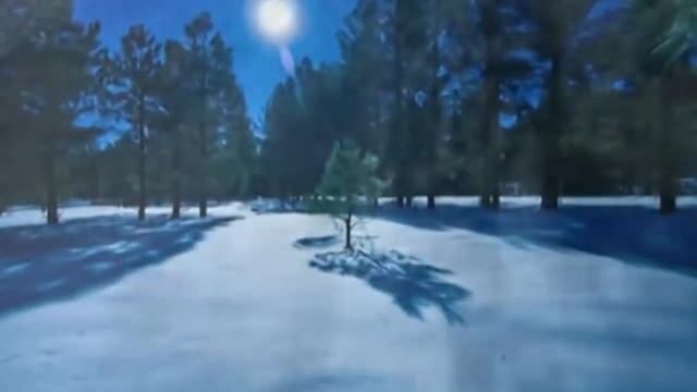 Евгения Смольянинова "Колокольчик" ("В лунном сиянии") смотреть онлайн