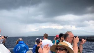 Киты показывают хвосты туристам. Отдых на Гавайских островах