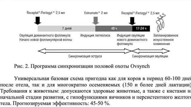 Синхронизация половой охоты у коров схемы