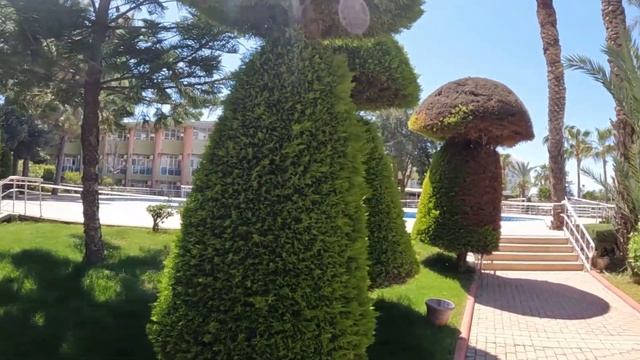 LONICERA RESORT & SPA 5*/ Бюджетная 5ка в Турции #турция #отдыхвтурции