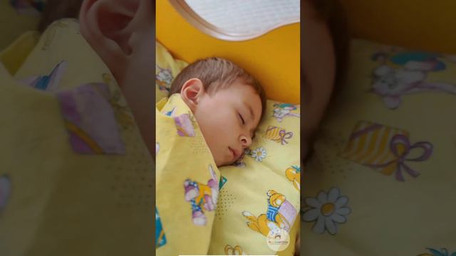 СОН детей в детском саду Academkids. смотреть онлайн