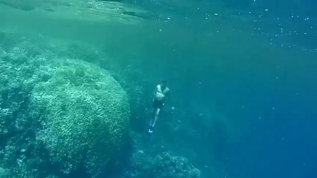 Каникулы в Египте#море#вода#лето#египет#красноеморе