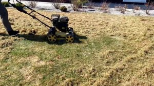 ВЕРТИКУТТЕР. КАК СДЕЛАТЬ ГАЗОН ЗЕЛЕНЫМ. УХОД ЗА ГАЗОНОМ.