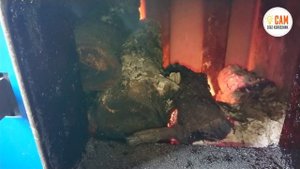 На какой температуре эффективнее топить котел? Тестируем котел Суворов на целых поленьях!