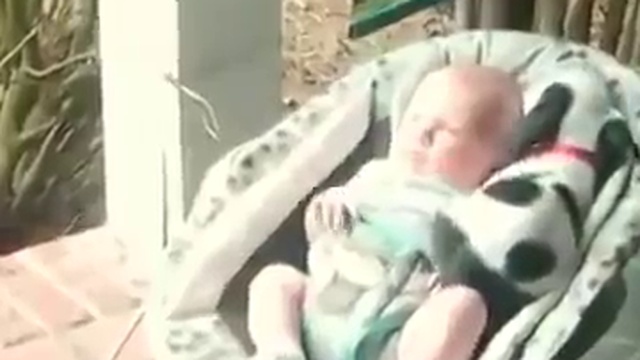 щеночек забрался в кроватку к ребенку, чтобы поспать смотреть онлайн