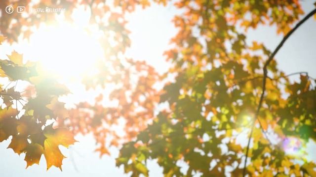 Красивая расслабляющая музыка • Спокойная фортепианная музыка ? Yспокаивающая музыка для нервов #9 смотреть онлайн