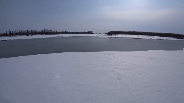 ЧАСТЬ 2. СУПЕР ОХОТА НА ГУСЯ В ЯКУТИИ 2022. Goose hunting in Yakutia. Part 2. смотреть онлайн