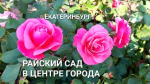 Райский сад в самом центре Екатеринбурга 18 августа 2023