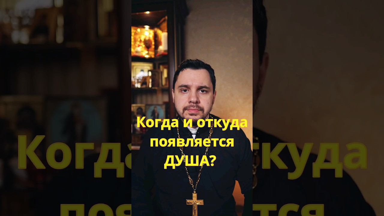 Когда появляется душа? #православие #священник #проповедь #святыеотцы #евангелие #христианство