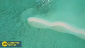 Four Seasons Resort Maldives at Landaa Giraavaru 5* Deluxe  Baa Atoll  Баа Атолл, обзор отеля