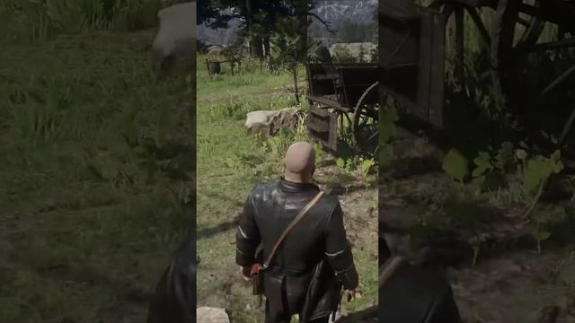 Что будет, если выпить 100 тоников для роста волос в #reddeadredemtion2