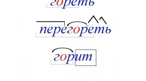 изменение глаголов по лицами числам