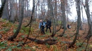 Первый раз в горах. Попали под дождь.