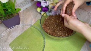 Пирожное картошка.Пирожное картошка из печенья.