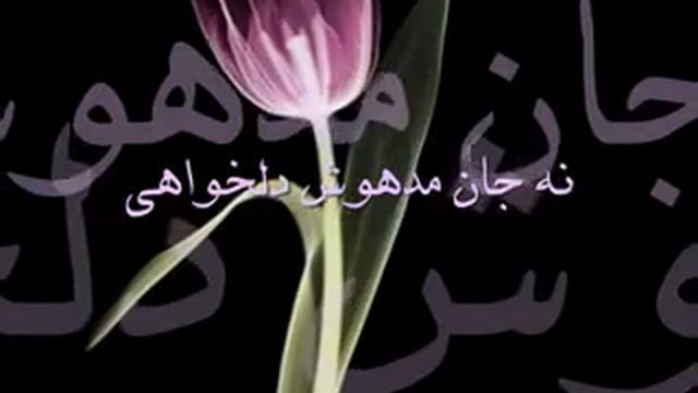 AhmaD ZahiR Na DiL MaftooNe DiLbanDe HQ YouTube смотреть онлайн