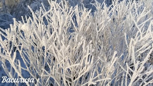22 января народный праздник Филиппов день. Что нельзя делать. Народные традиции и приметы.