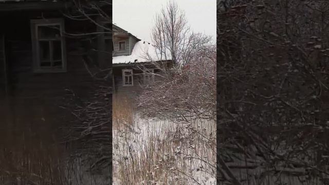 Заброшенная деревня в глубинке Вологодской области. Огромные северные дома