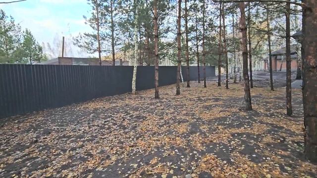 Дома в Чертовицком лесу.