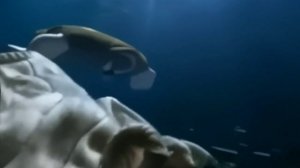 Реклама из 90x-00x Ariston: Водный мир