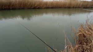 Рыбалка в декабре 2020 в хуторе Садки.