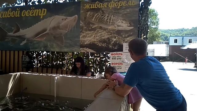 Лазаревское ул Калараш. Рынок , живая рыба, осётр, раки , форель смотреть онлайн