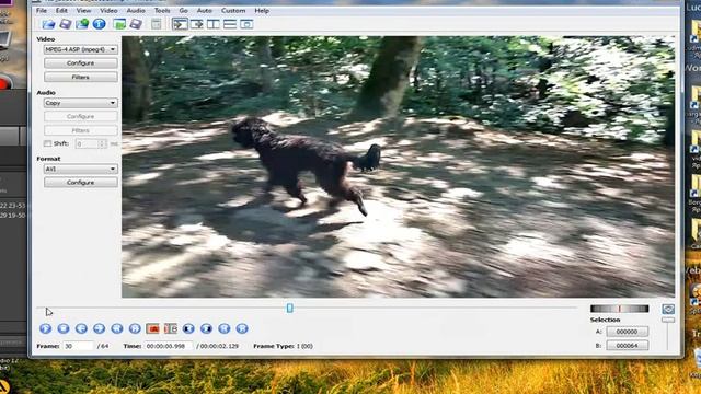 как сделать реверс в авидемукс смотреть онлайн