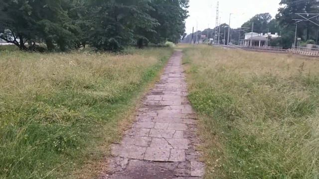 Спасибо вам, мои друзья! смотреть онлайн