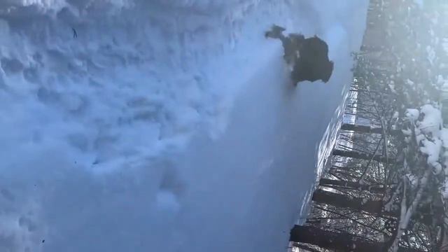 Монгол Банхар Баянгол Марта от Бургэд&Янгар, 2 года, видео #2 смотреть онлайн