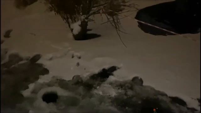 С одной лунки за 15 минут - 5 рыбин! Клевое Место, Юдино смотреть онлайн