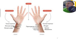 Пульсовая диагностика в китайской классической медицине