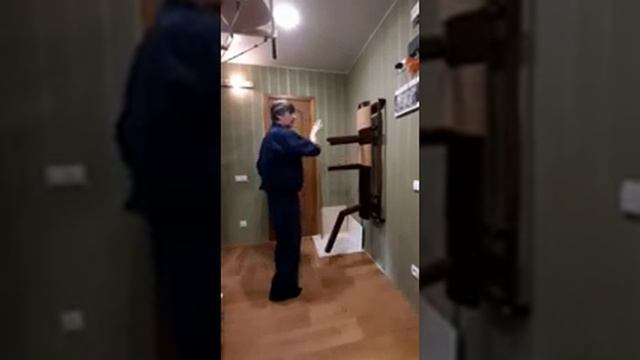 18 hands (from Wingchun) 2 / Baihe смотреть онлайн