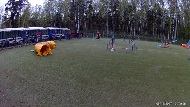 Архипова Елена и Чита. Гемблерз смотреть онлайн