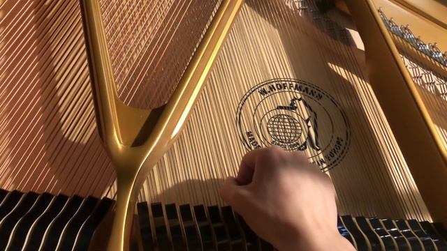 Тест на абсолютный музыкальный слух ??? смотреть онлайн